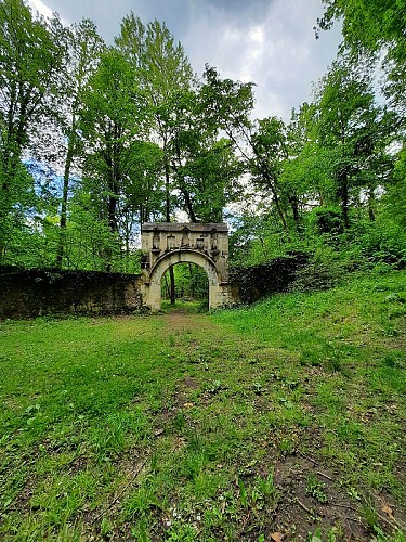 Remontez le temps en forêt de Hez-Froidmont