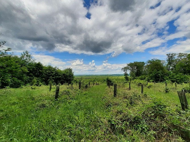 Remontez le temps en forêt de Hez-Froidmont