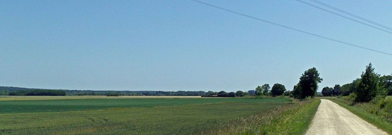 Le chemin entre Pontigny et Monéteau