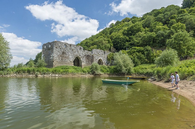 RANDONNÉE LOIRE ET COTEAUX À CHAMPTOCEAUX