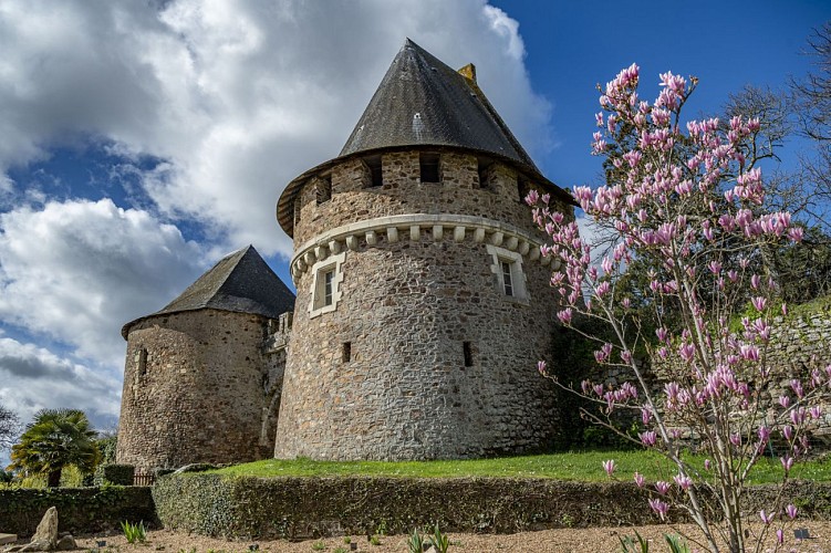 RANDONNÉE LOIRE ET COTEAUX À CHAMPTOCEAUX