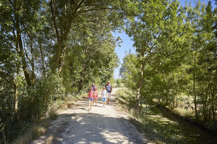 LA FLÂNE DE LA FRAGONETTE