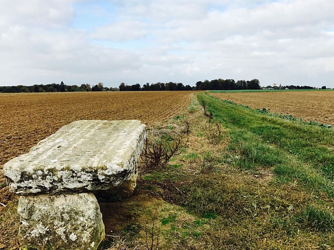 Randonnée VTT SUR LA ROUTE DU DRUIDE