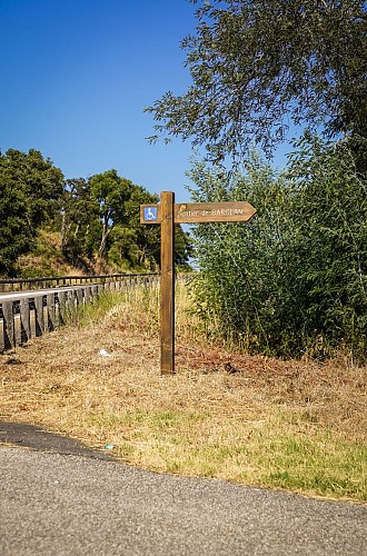 Sentier de Bargean_Bormes-les-Mimosas