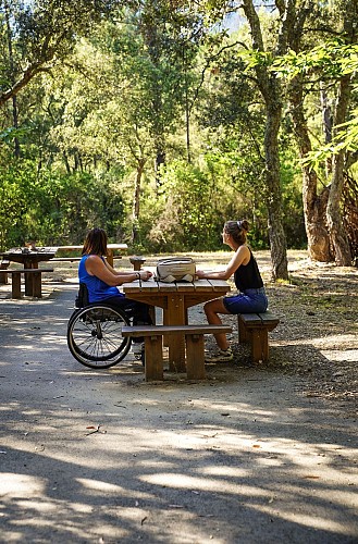 Sentier de Bargean_Bormes-les-Mimosas