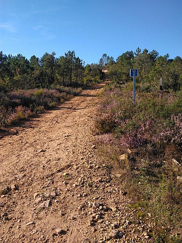 Montée vers le point culminant