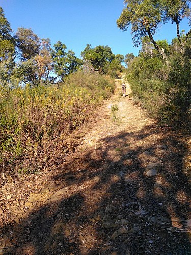 La fin de la descente