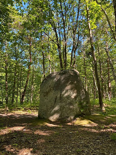 Le Menhir des Buttes Noires 