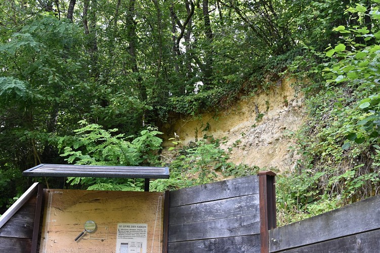 Sablière du Chemin d'Orgemont 