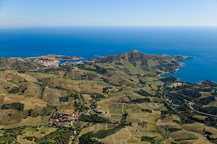 Randonnée dans les vignes