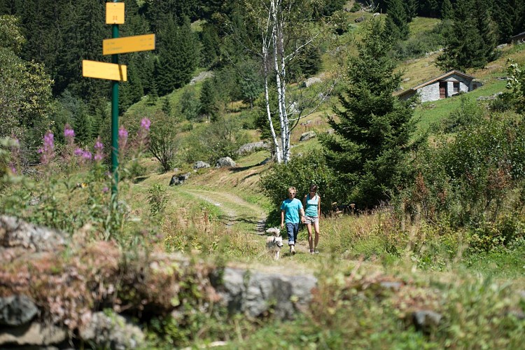 Le Chemin des Bûcherons