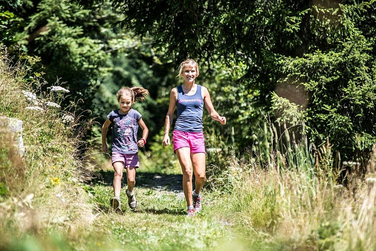 THE BILBERRY TRAIL