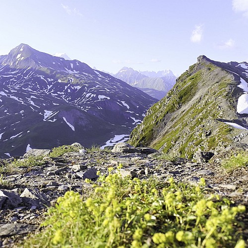 Der Weg des Mont-Blanc