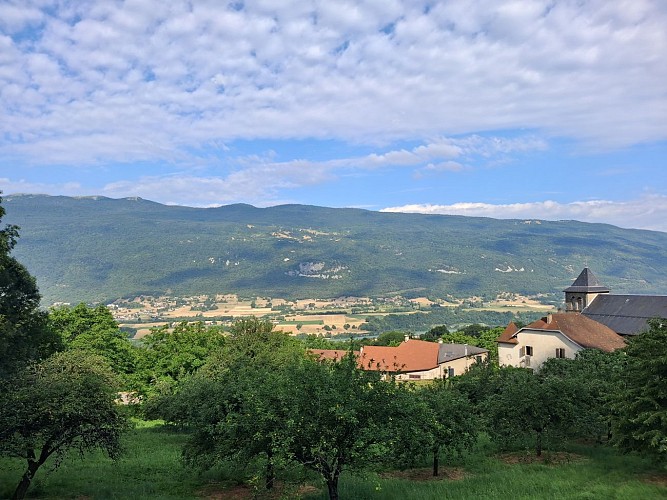 Sentier pédestre des Vignes_Motz