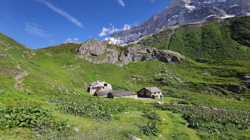 A la découverte des Glaciers