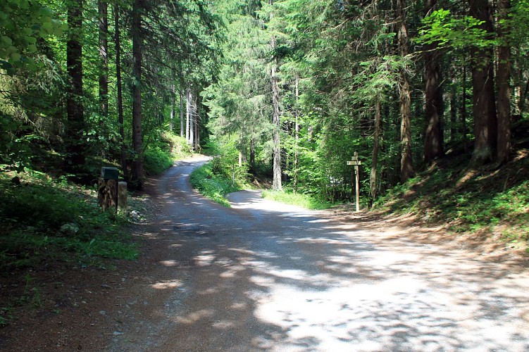 Wanderweg Arve - Les Houches - Chamonix