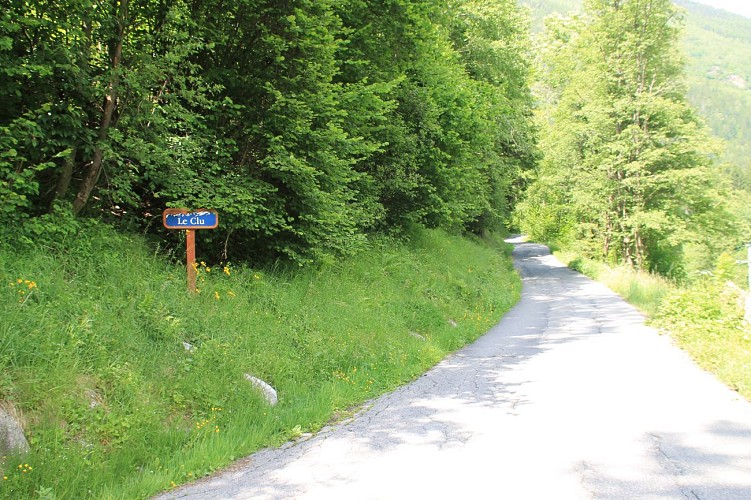 Walk linking the Arve river-Les Houches-Chamonix