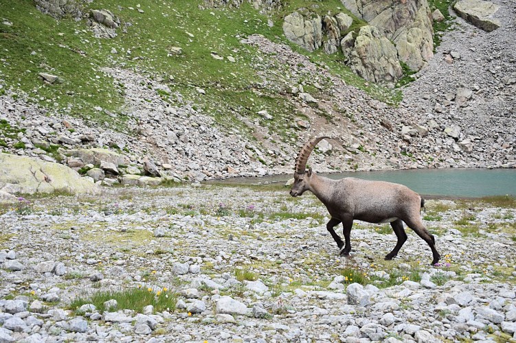 Le sentier des Lacs alpins