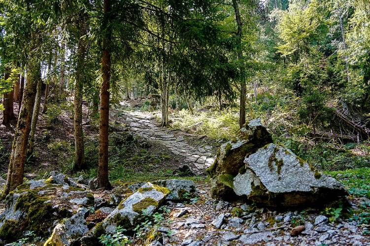 Camino de granito