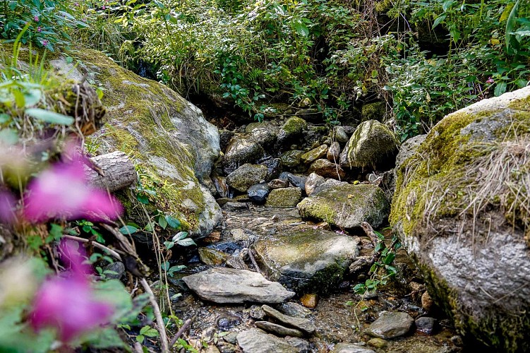 Sentier des graniteurs