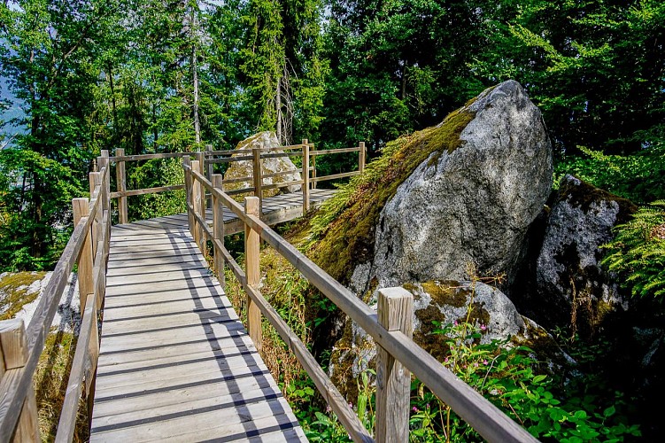 passerelle en bois