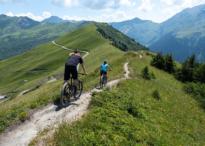 Mountain bike site FFC Arêches-Beaufort._Arêches-Beaufort