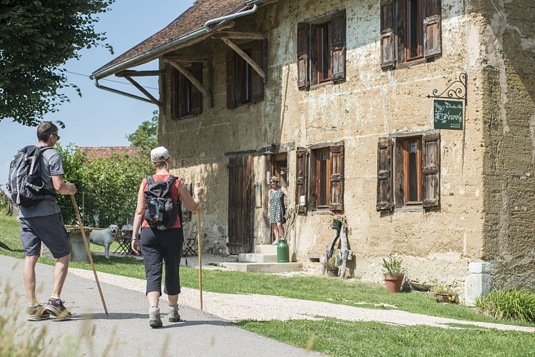 On the road to Compostela_Saint-Genix-les-Villages
