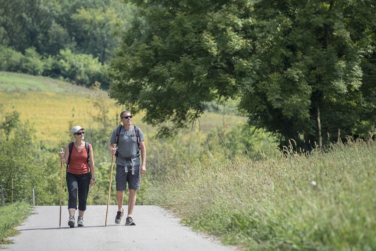 On the road to Compostela_Saint-Genix-les-Villages