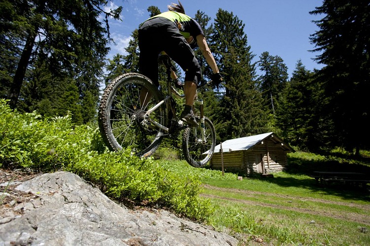Cross country MTB - Bisanne Les Côtes