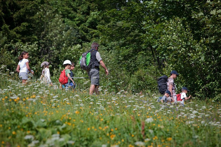 The Black Grouse (Lyrurus Tetrix) trail