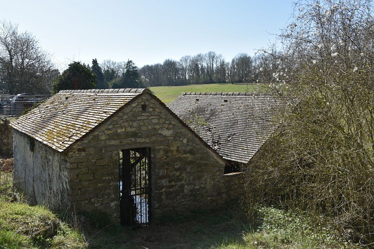Le lavoir 
