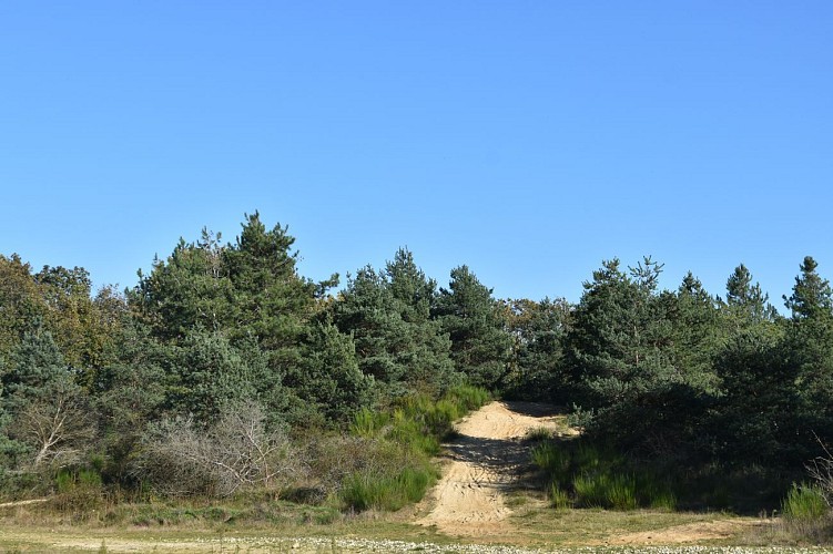 Ancienne Carrière de l'Ardenay