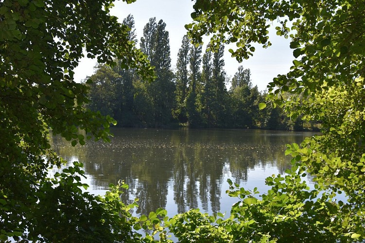Etang des Hirondelles