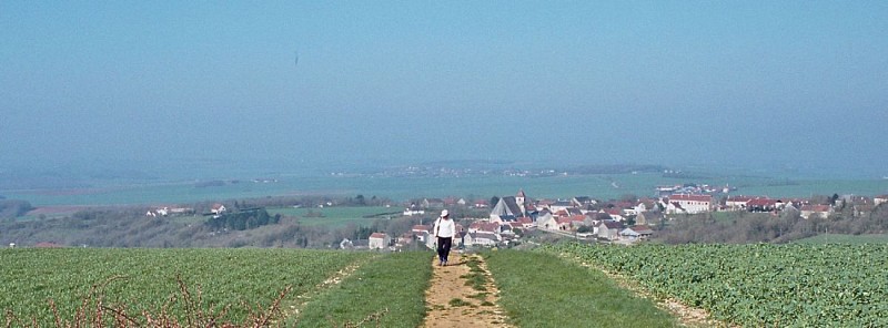 La piste au dessus de Taingy