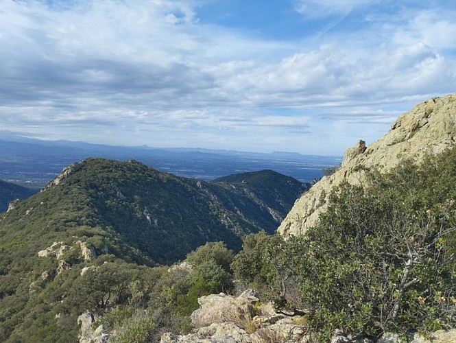 From Sorède to the Roc de les Medes