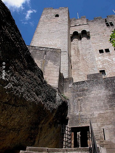 Tours et détours au pied de la tour