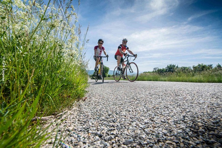 Tour de Roche Colombe