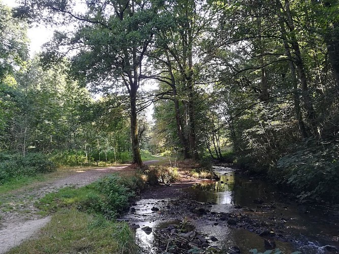 sentier les Biards bord de l'Aurence