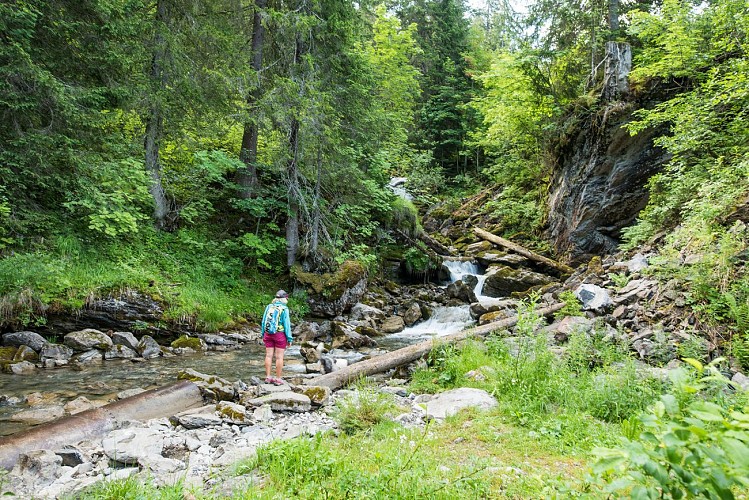 Walking trail: Ardent to Lindarets