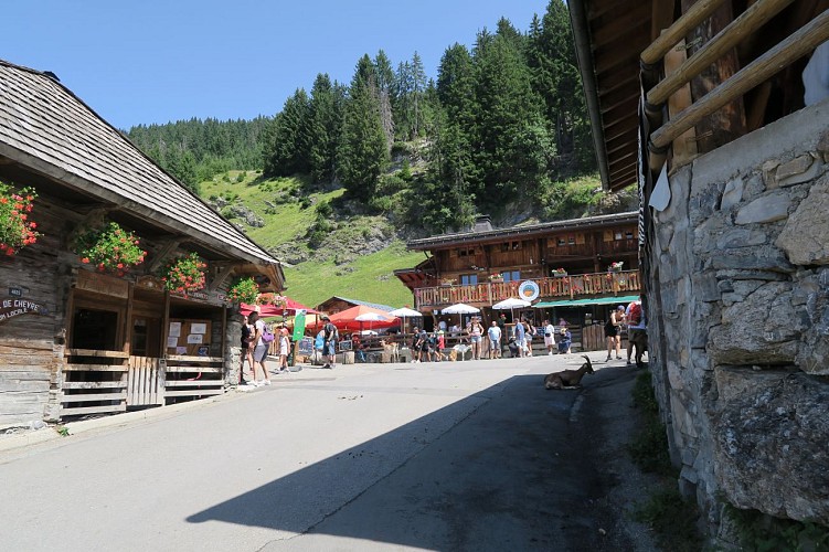 Sentier pédestre : Ardent aux Lindarets_Montriond