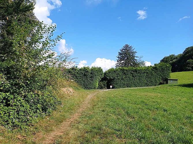 Sentier VTT : boucle du Bois de Fessy_Sallanches