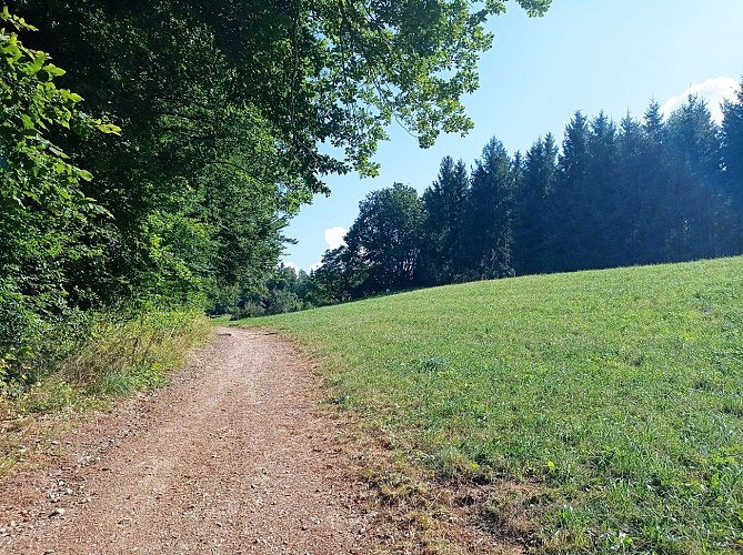 Sentier VTT : boucle du Bois de Fessy_Sallanches