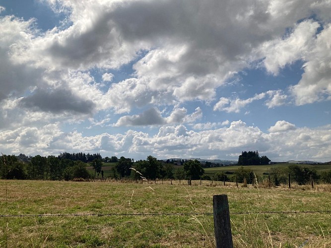 N°1 Promenade aux champs_Aveizieux