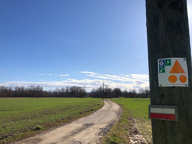 N°6 Parcours des Varennes_Cleppé