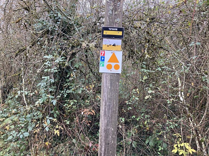 N°7 Les bords de Loire, côté plaine_Montrond-les-Bains