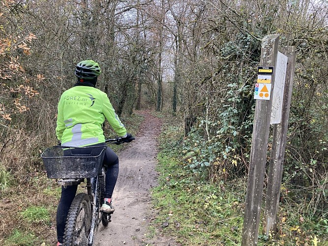 N°7 Les bords de Loire, côté plaine_Montrond-les-Bains