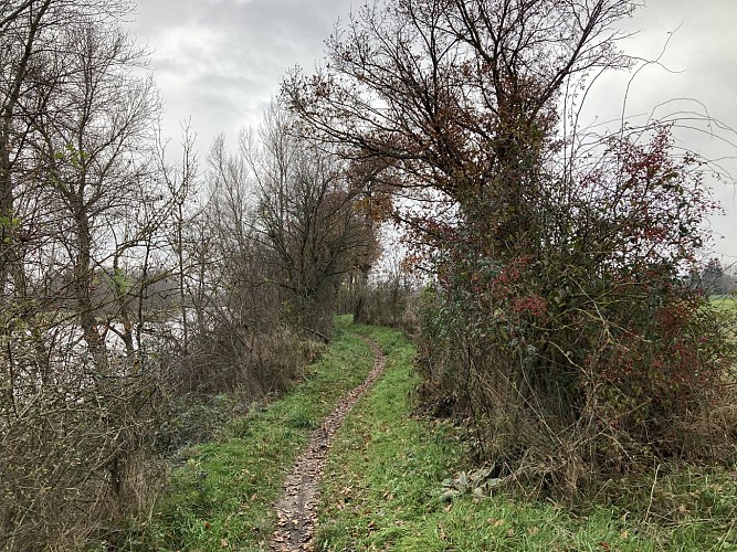 N°7 Les bords de Loire, côté plaine_Montrond-les-Bains