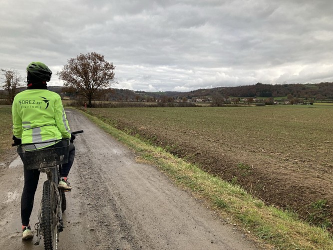 N°9 Entre Loire et plaine_Saint-Laurent-la-Conche