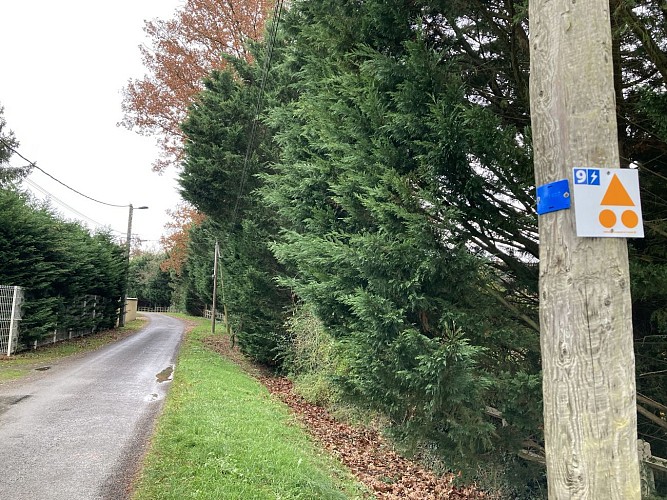 N°9 Entre Loire et plaine_Saint-Laurent-la-Conche