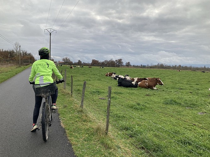 N°9 Entre Loire et plaine_Saint-Laurent-la-Conche